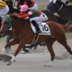 スライムの競馬ブログ