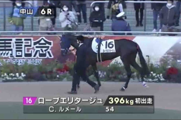 新入一口馬主の活動履歴 21年12月