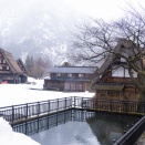 2026.3.7　一枚の彩時季