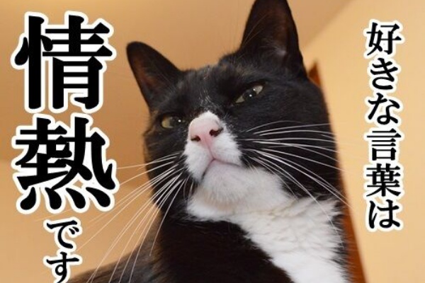 好きな言葉は情熱です あずきさんとだいずさん Powered By ライブドアブログ