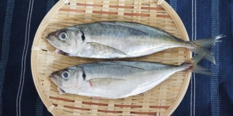 【嫁のメシ】エラも内蔵もとってないアジの唐揚げ(25cmくらい)が出てきたんだが…