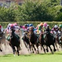 【えぇ…】中国人男性、競馬で得た利益18億円を申告せず上海に帰国・・・過去5年間で約95億円の払戻金を得ていた