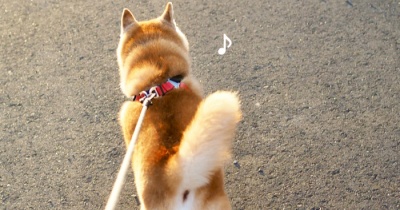 夕日に向かって！