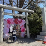 たけごろう爺の雑記帳