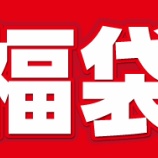 『ビックカメラ2016福袋 再発売』の画像