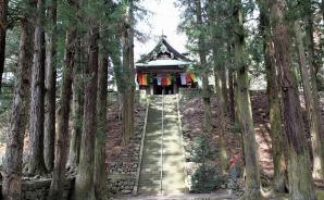 "真楽寺"と樹齢1000年の木を撮影