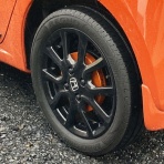 ビワコオオナマズ飼育日記