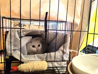 ブン！　四日目