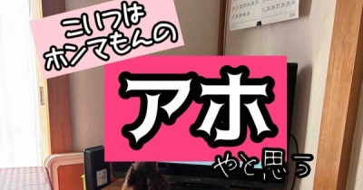 いや、マジで。