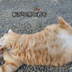 ソワレが要らないフランス暮らし