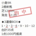 競馬予想無料公開サイト～7/5・7/6(2026)検証