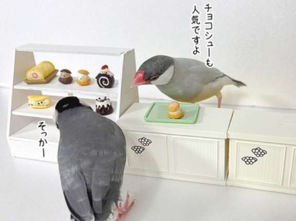 パティスリージル開店