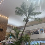 Aula