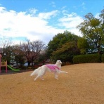 いんちょブログ