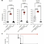 医学部の勉強　分子病理学
