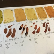 注目の ウィンザーニュートン 水彩絵の具29色+ホルベイン1色 - 画材