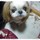 朝から…(-_-メ)