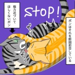 猫はじめました