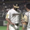 日ハム・マルティネス、右手薬指打撲