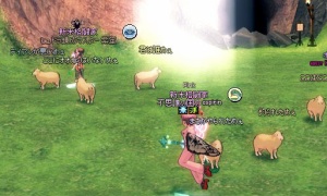 なごむが腹立つダミー羊めぇ