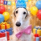 ジン２歳になりました！！