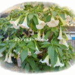 tenistamiのブログ