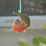 季節の風の中で