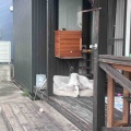 朝散歩拒否。