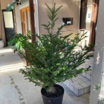 B.B.かふぇ 繁盛記