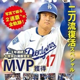 『メジャーのマウンドに上がった野手』の画像