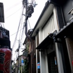 毎日電柱