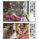 足にハンディ カノン姉妹？