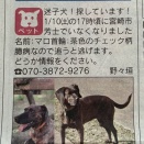 引き続き探しています！