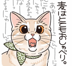 おしゃべりの内容は？