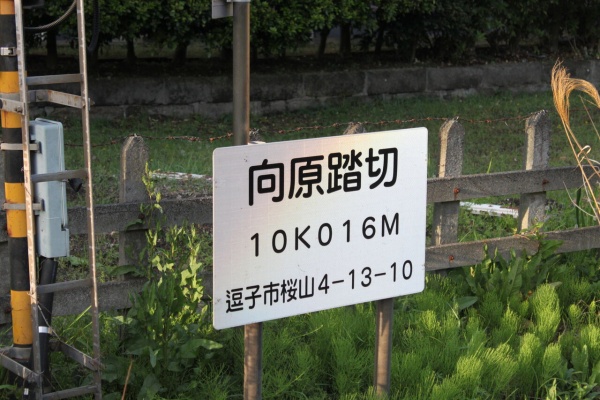 ISOヒヨドリ　鉄道スタフ　籠原区　14行路 File:京都市営地下鉄四条駅北改札口.jpg - Wikipedia