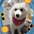 9月2日のお友達❤️