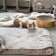 全員そろってのカメラ目線写真を撮りたい！