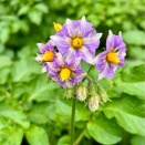4月29日(水) (^O^)／