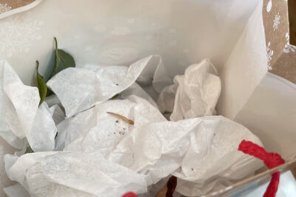 カリフォルニアのばあさんブログ 夫の事 Powered By ライブドアブログ