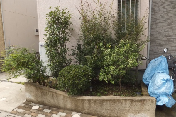 草加市 越谷市の植木屋 ヒーリング グリーンの現場日誌 11年08月