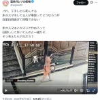 【悲報】「歩きスマホ」しながら階段を降りようとした女性、悲惨な末路を迎えるｗｗｗｗｗ