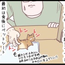 そういえば小さいミュウのトイレ事情。のまき