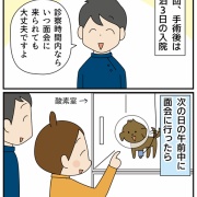 愛犬ティアラの手術記録⑥検査結果