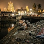 インド旅行　限界突破