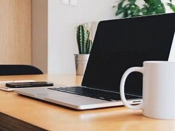 パソコンデスクに観葉植物置いてない奴ｗｗｗｗｗｗ