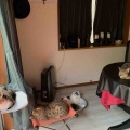 のんびりまったり…いざこざ？