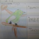 3年理科「春の生き物を調べよう」