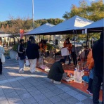 バーニーズのジョンとわんこの里親探し