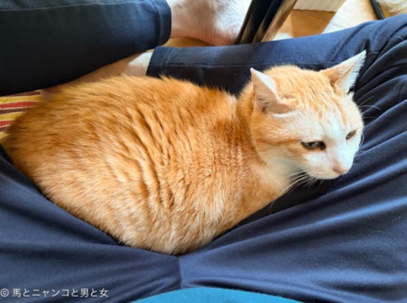 意外と