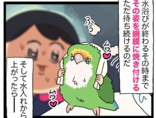 濡れ鳥吸わぬはカイヌシの恥